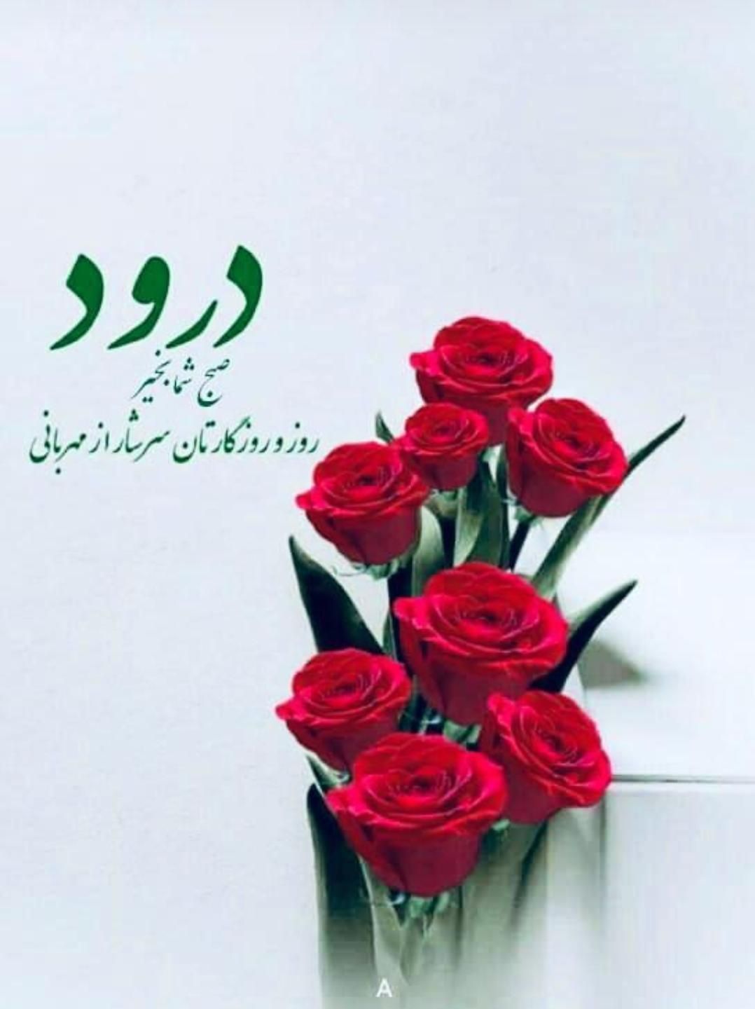 خوابگاه دخترانه|اجارهٔ آپارتمان|یاسوج, |دیوار