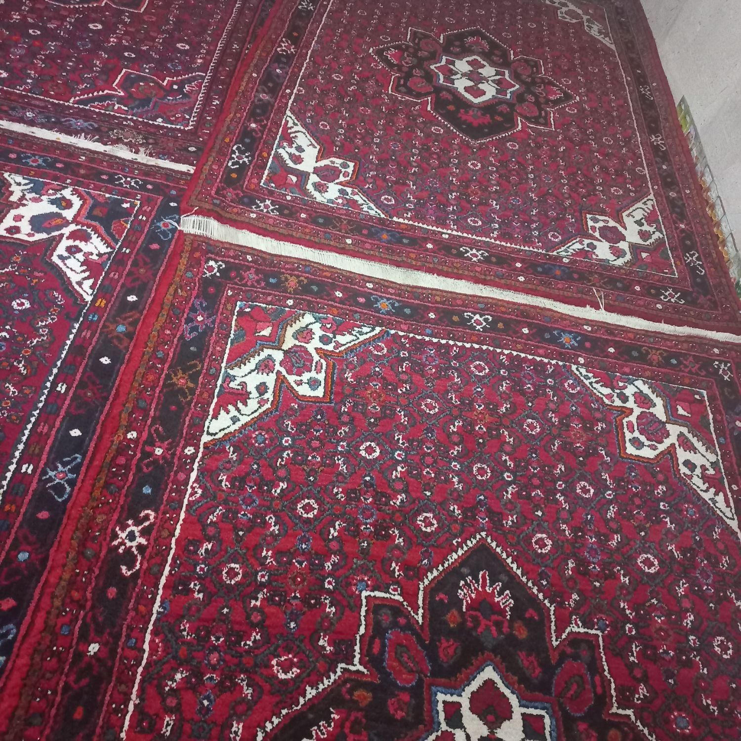 قالی کوردی حسین اباد|گلیم، جاجیم، گبه|کرمانشاه, |دیوار