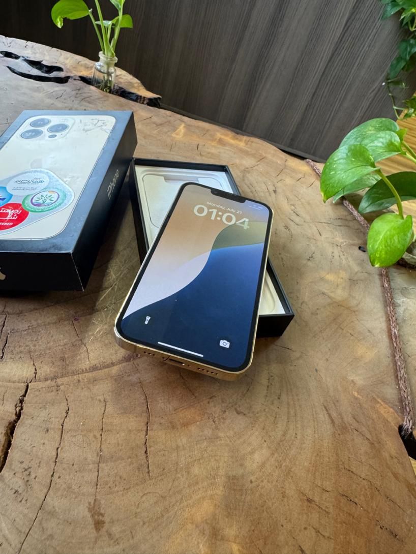 Iphone 13pro|موبایل|تهران, میدان ولیعصر|دیوار