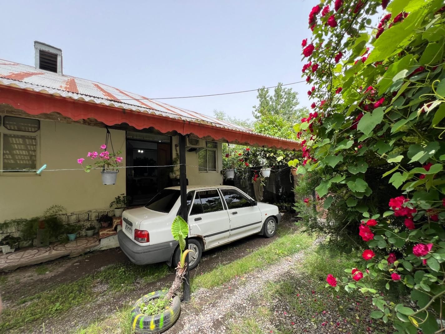 گیلان رشت سنگر ویلا باغ|فروش خانه و ویلا|سنگر, |دیوار