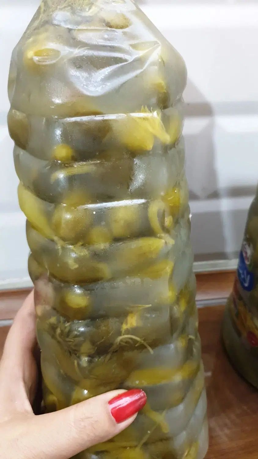 خیارشوره تازه و ترد|خوردنی و آشامیدنی|تهران, هوانیروز|دیوار