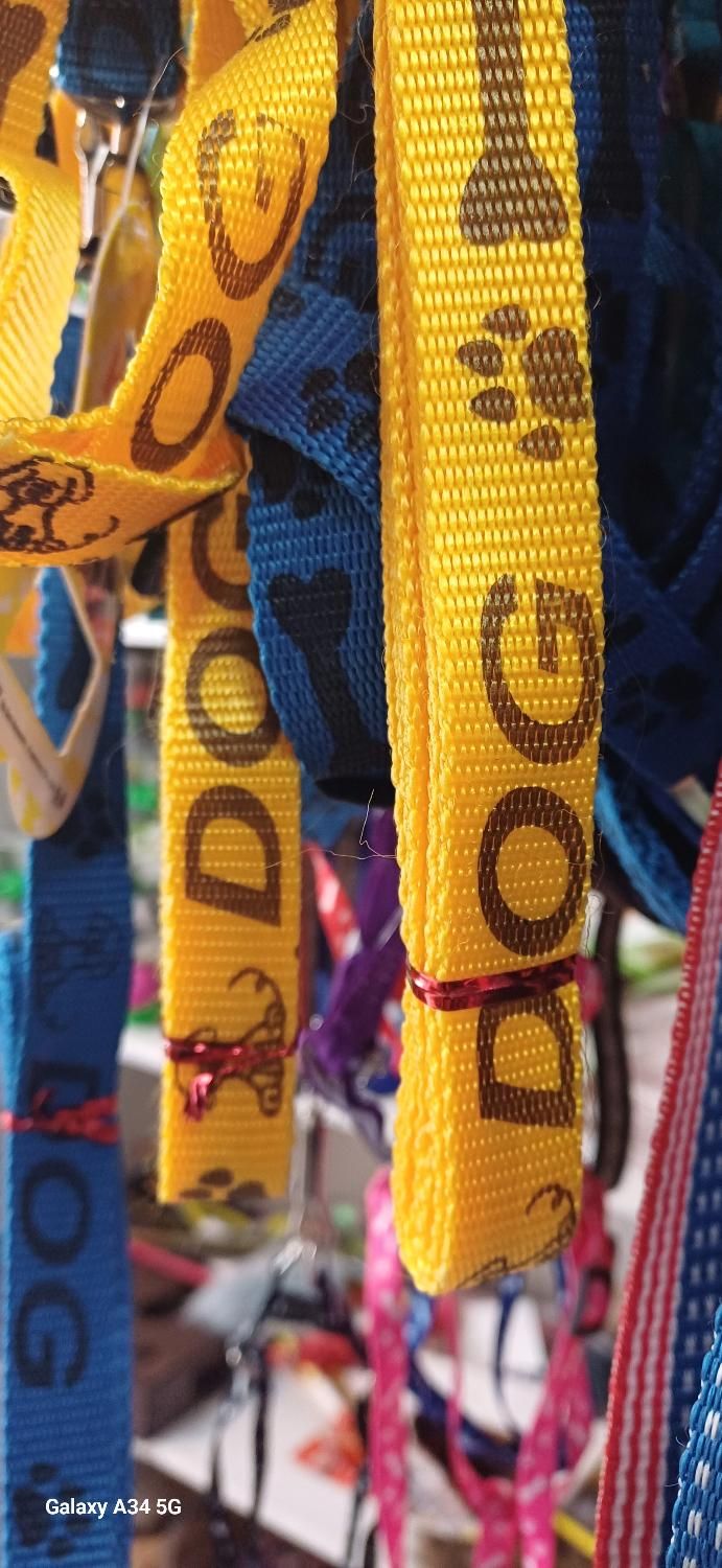 قلاده سگ|لوازم جانبی حیوانات|ارومیه, |دیوار