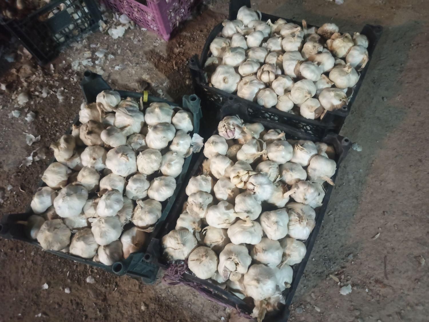 سیر|خوردنی و آشامیدنی|اصفهان, سرشبادران|دیوار