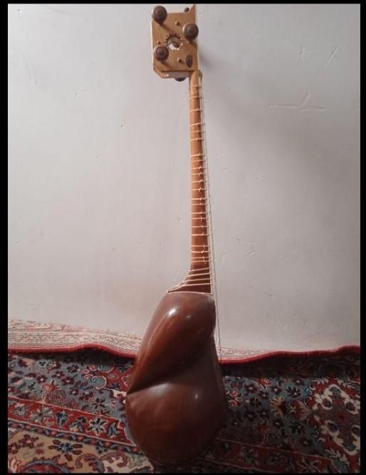 تار تک مهر سالاری ، سازی مناسب آموزش|سازهای سنتی|تاکستان, |دیوار