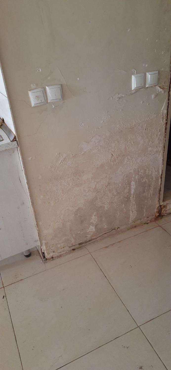 نقاشی ساختمان تمام نقاط کرج|خدمات پیشه و مهارت|کرج, شاهین‌ویلا|دیوار