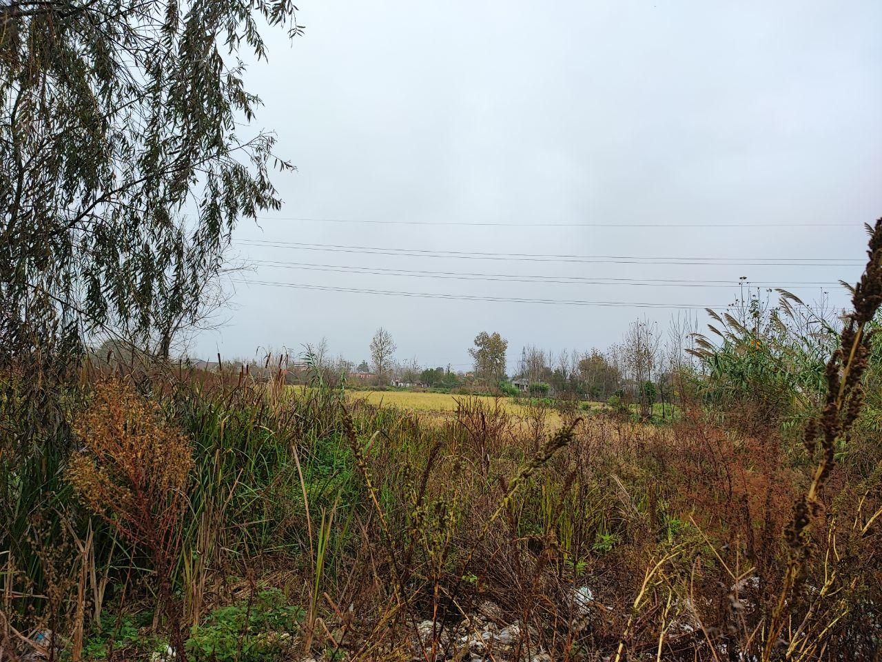 فروش زمین ۱۷۱ متری سنددار در خیابان آبشار قصابمحله|فروش زمین و ملک کلنگی|لاهیجان, لیالستان|دیوار