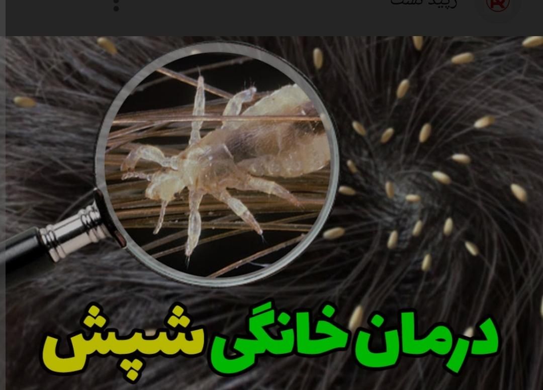 قطره تضمینی ضدشپش|آرایشی، بهداشتی، درمانی|کامیاران, |دیوار