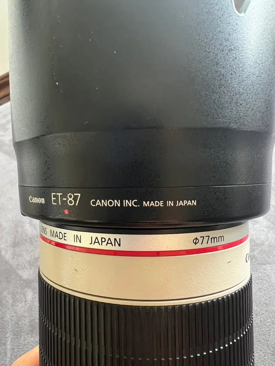 کانن 5Dmark4 Canon EF 70-200mm F2.8L IS III USM|دوربین عکاسی و فیلم‌برداری|رشت, کاکتوس|دیوار