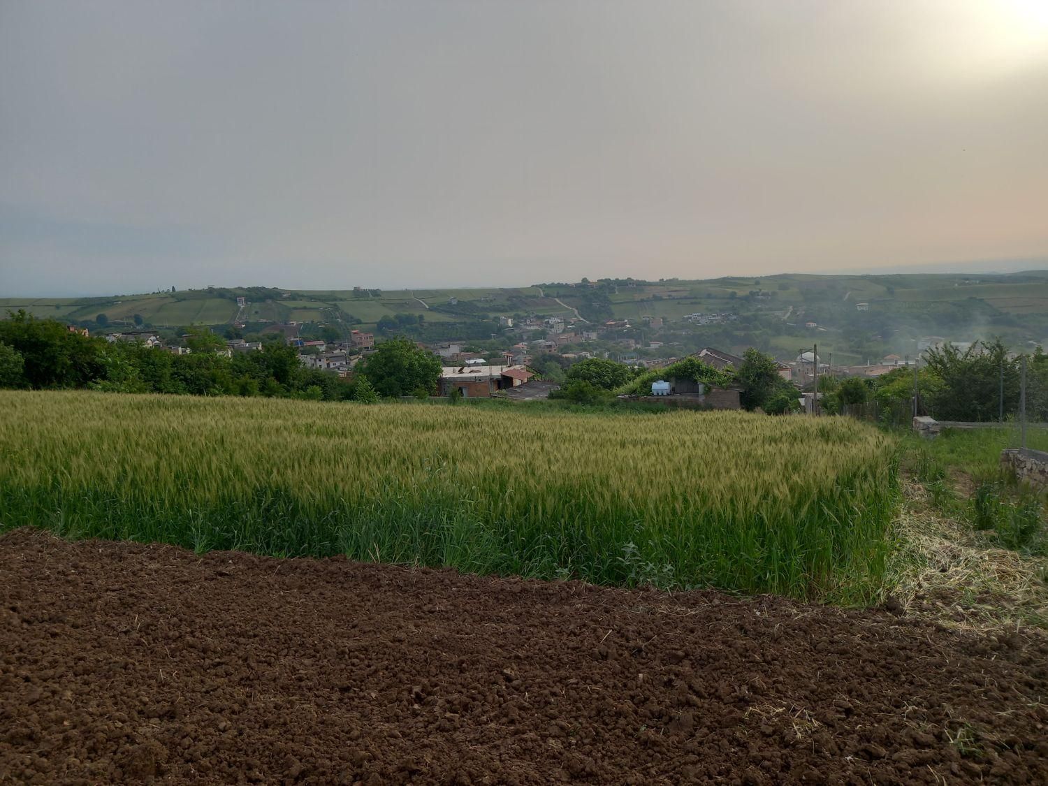 فروش زمین ۵۵۰ متری|فروش زمین و ملک کلنگی|نکا, |دیوار