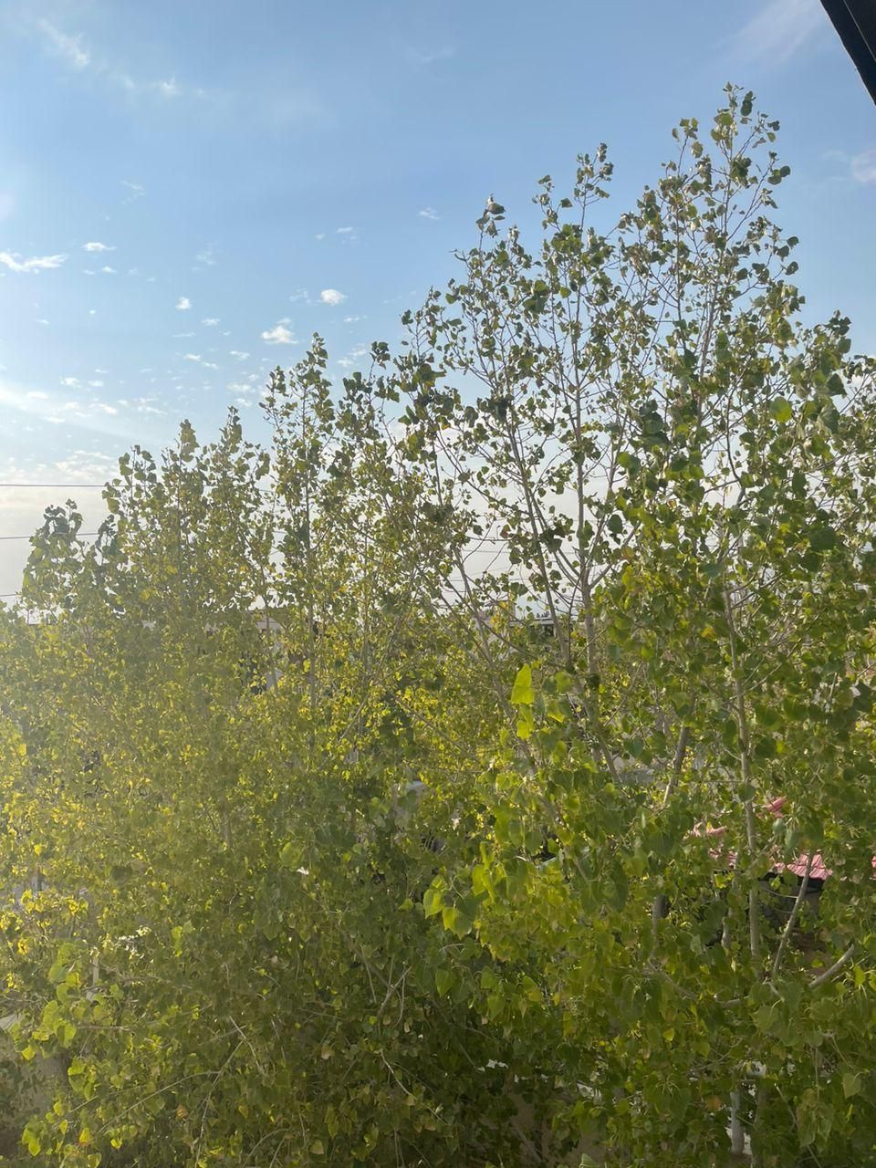 ویلاباغ ۵۰۰ زمین ۲۰۰ بنابدون مشابه در*اول مهراباد*|فروش خانه و ویلا|رودهن, |دیوار