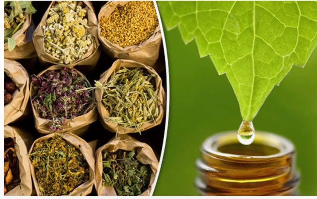 نتورک مارکتینگ جذب بازاریابان محصولات سلامت محور|استخدام بازاریابی و فروش|تهران, سهروردی|دیوار