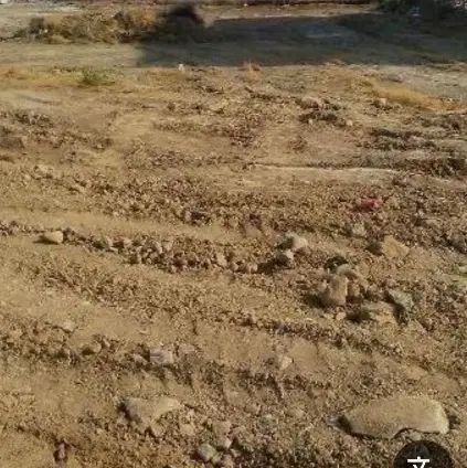 زمین فروشی ، ۱۱۰ متر ،با آب چاه ، جاده ملاحبیب|فروش زمین و ملک کلنگی|کاشان, مزرعه نو|دیوار
