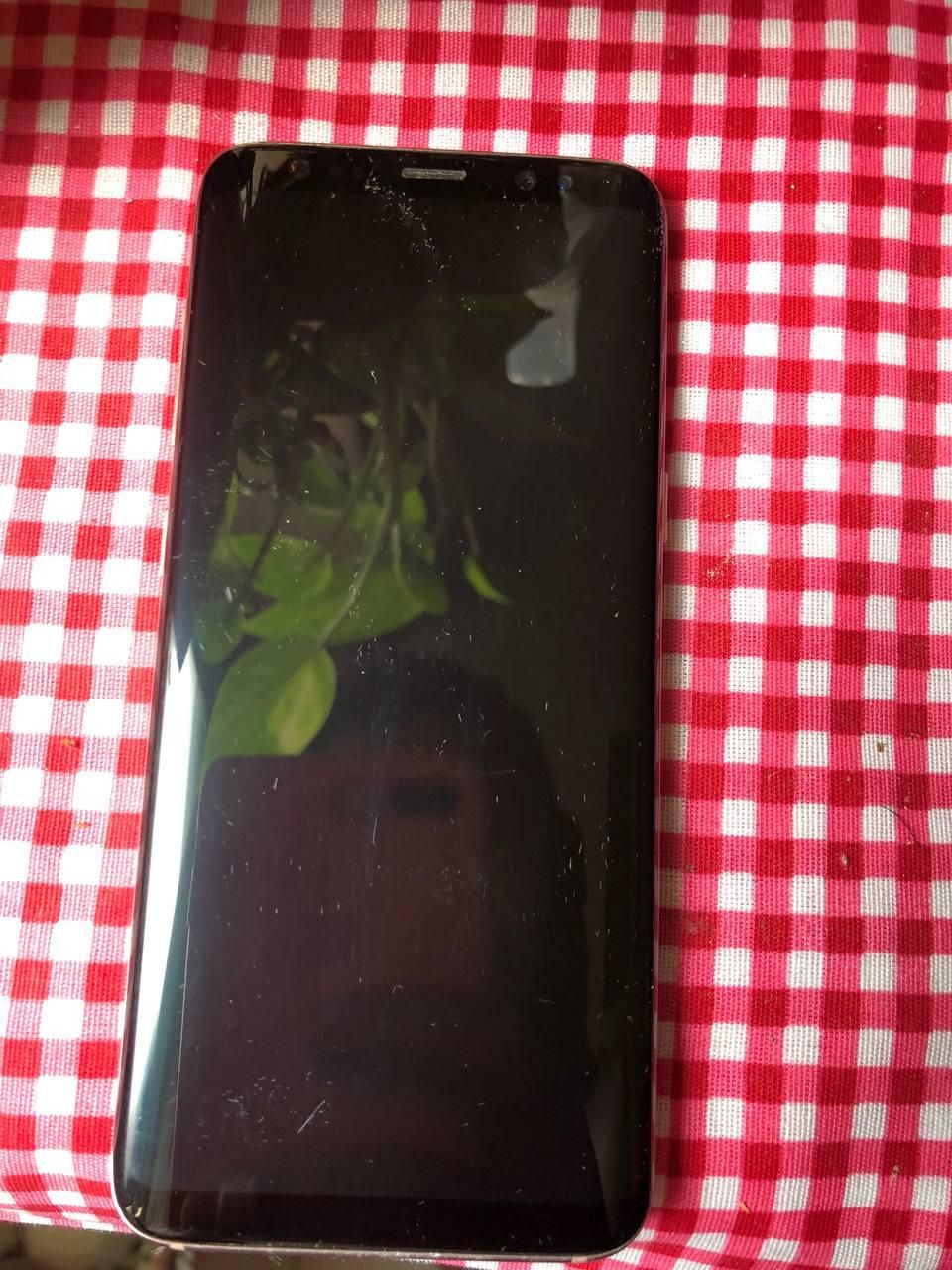 Galaxy S8|موبایل|تهران, سلیمانی|دیوار