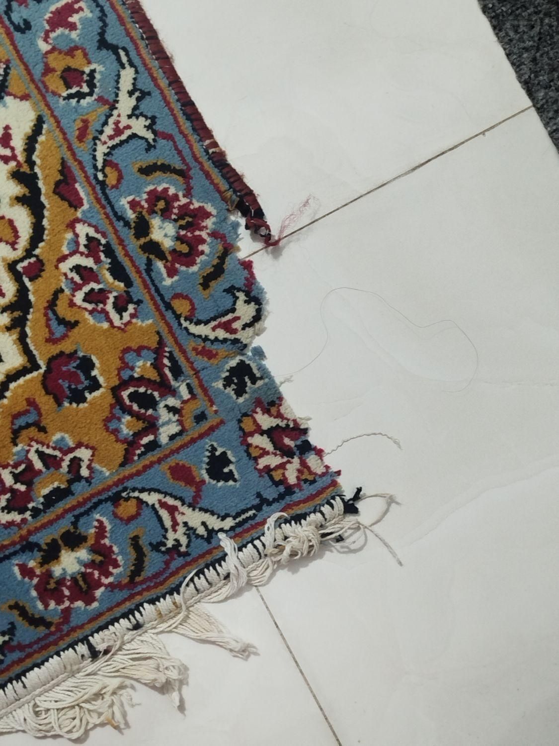 فرش 6متری|فرش|مشهد, کوی دروی|دیوار