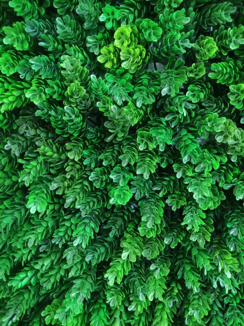 چمن مصنوعی و ترمووال و....|مصالح و تجهیزات ساختمان|یزد, |دیوار