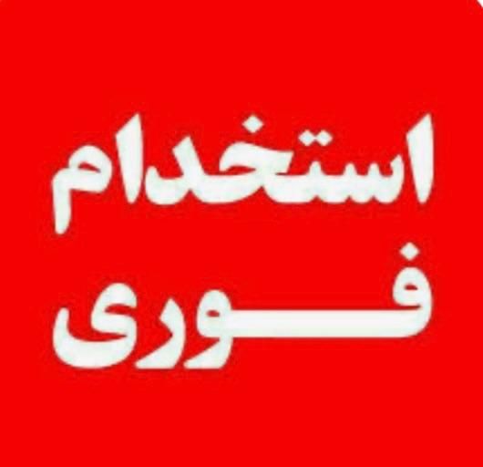 استخدام کارمند جهت بازار یابی|استخدام بازاریابی و فروش|تهران, حسن‌آباد|دیوار