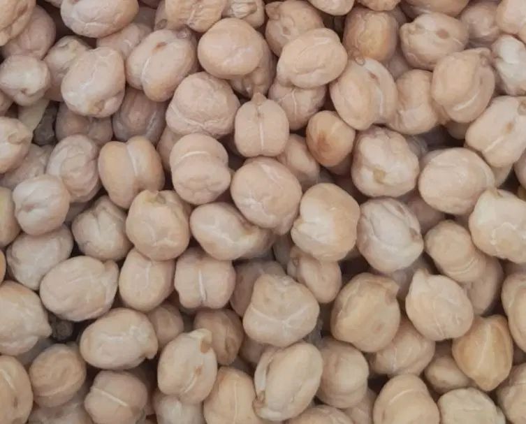 بهاره امسال|خوردنی و آشامیدنی|تهران, حر|دیوار
