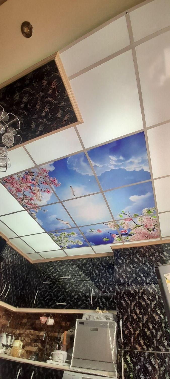 سقف کاذب کناف آسمان مجازی پارکت کاغذدیواری|مصالح و تجهیزات ساختمان|اردبیل, |دیوار