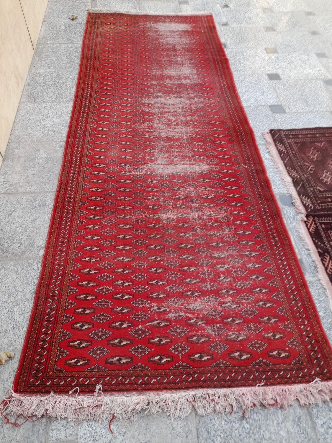 کناره دست بافت ترکمن|فرش|قزوین, |دیوار