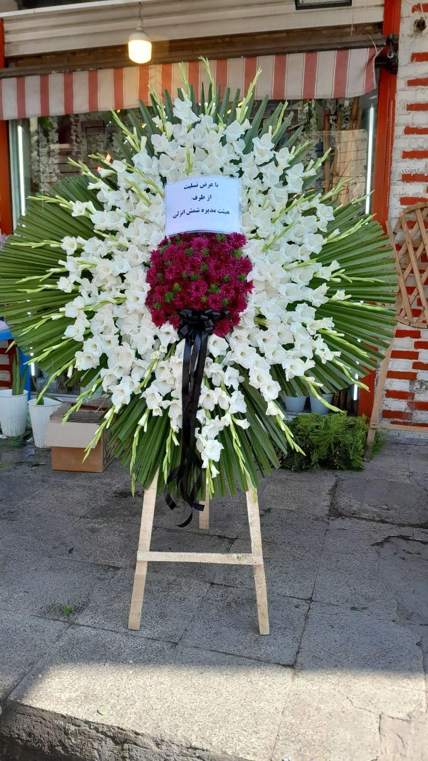 گلفروشی پاراگل|گل و گیاه طبیعی|اهواز, پادادشهر|دیوار