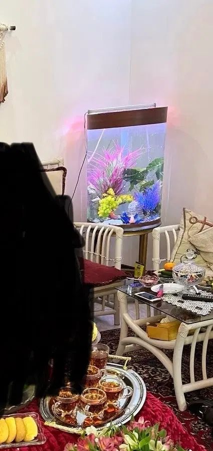 اکواریوم استوانه ، استوانه ای ، گرد|ماهی|تهران, مینای جنوبی|دیوار