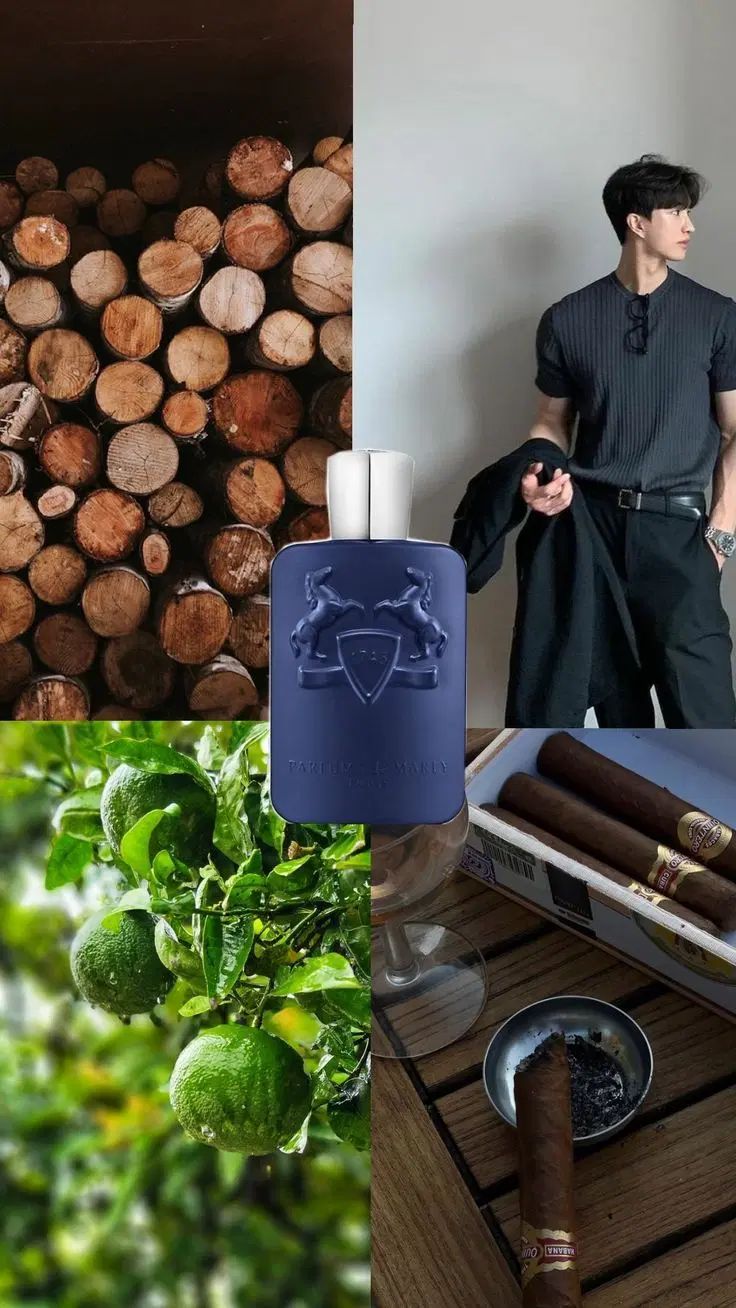 فروش عطر اورجینال و باکیفیت با ضمانت اصل بودن|آرایشی، بهداشتی، درمانی|تهران, فلاح|دیوار