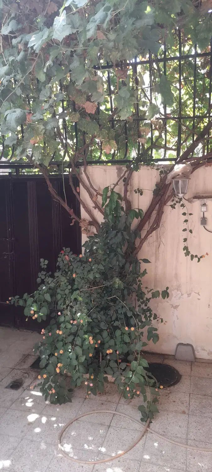 اجاره خونه دربستی|اجارهٔ خانه و ویلا|اصفهان, لنبان|دیوار