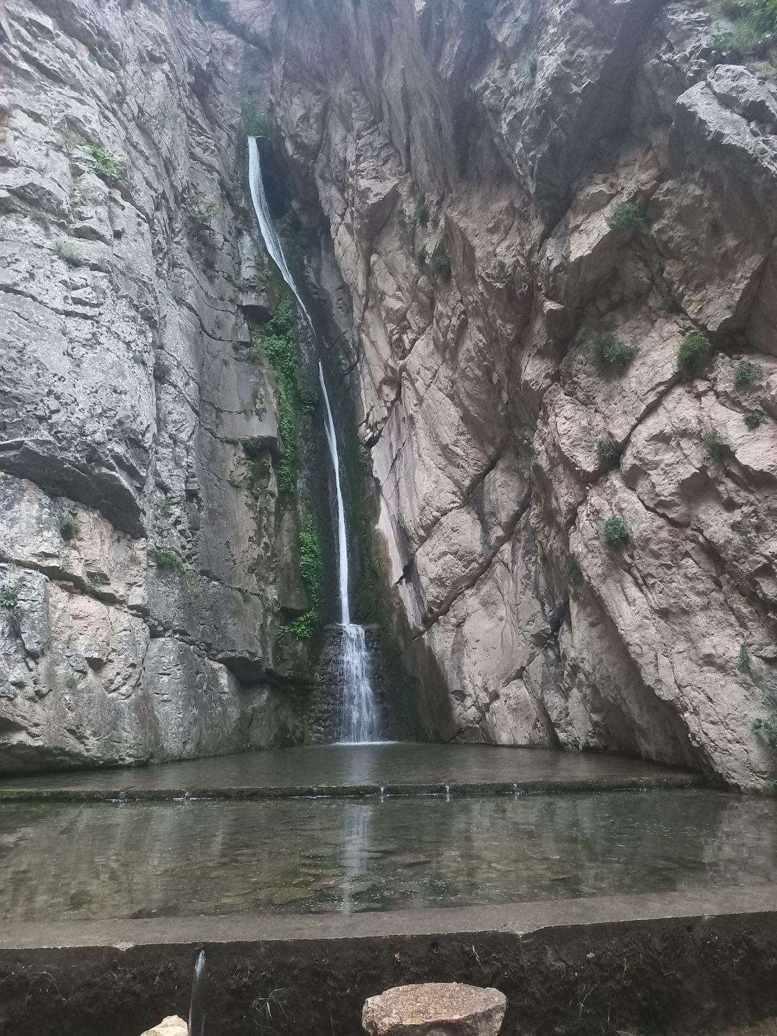 راهنمایی برای طبیعت گردی جنگل|تور و چارتر|مشهد, دانش|دیوار