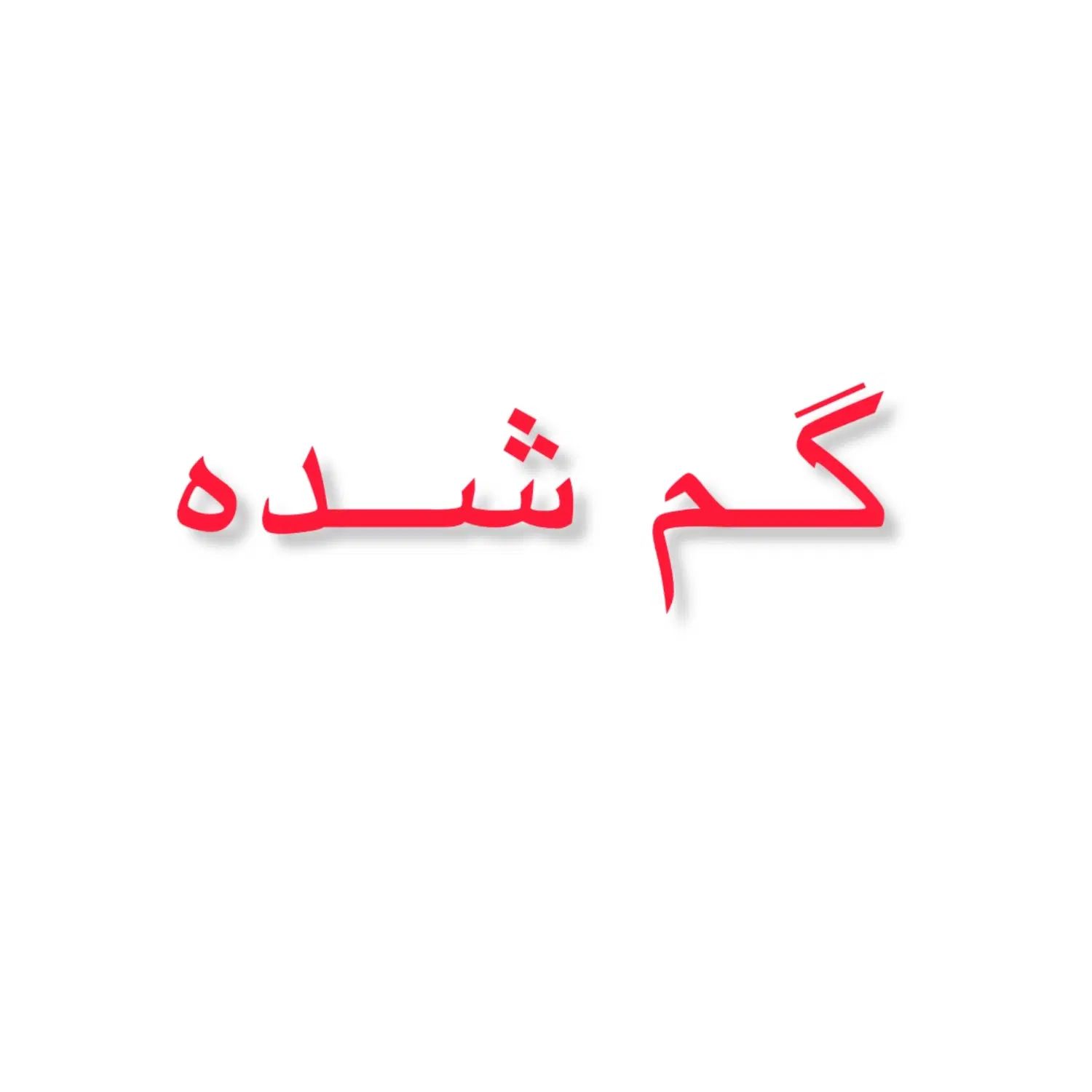 عروس هلندی ماده گم شده|حیوانات|کرج, خرمدشت|دیوار