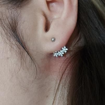 انواع پرسینگ و انجام پرسینگ و تتو|زیورآلات و اکسسوری|شاهین دژ, |دیوار