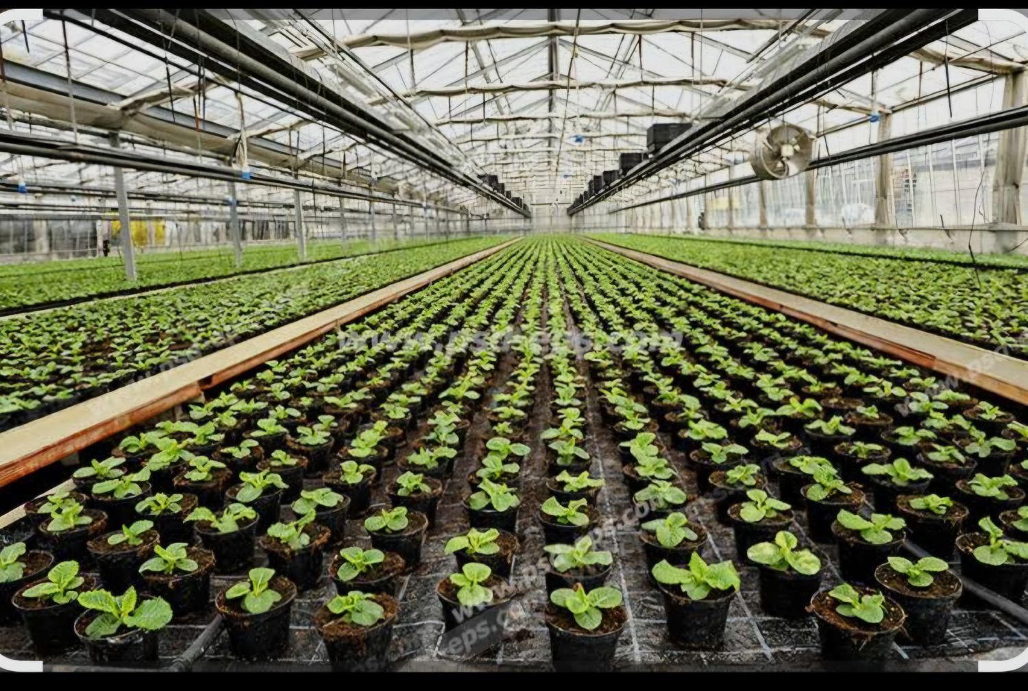 زمین امان آباد|فروش دفتر صنعتی، کشاورزی، تجاری|اراک, |دیوار