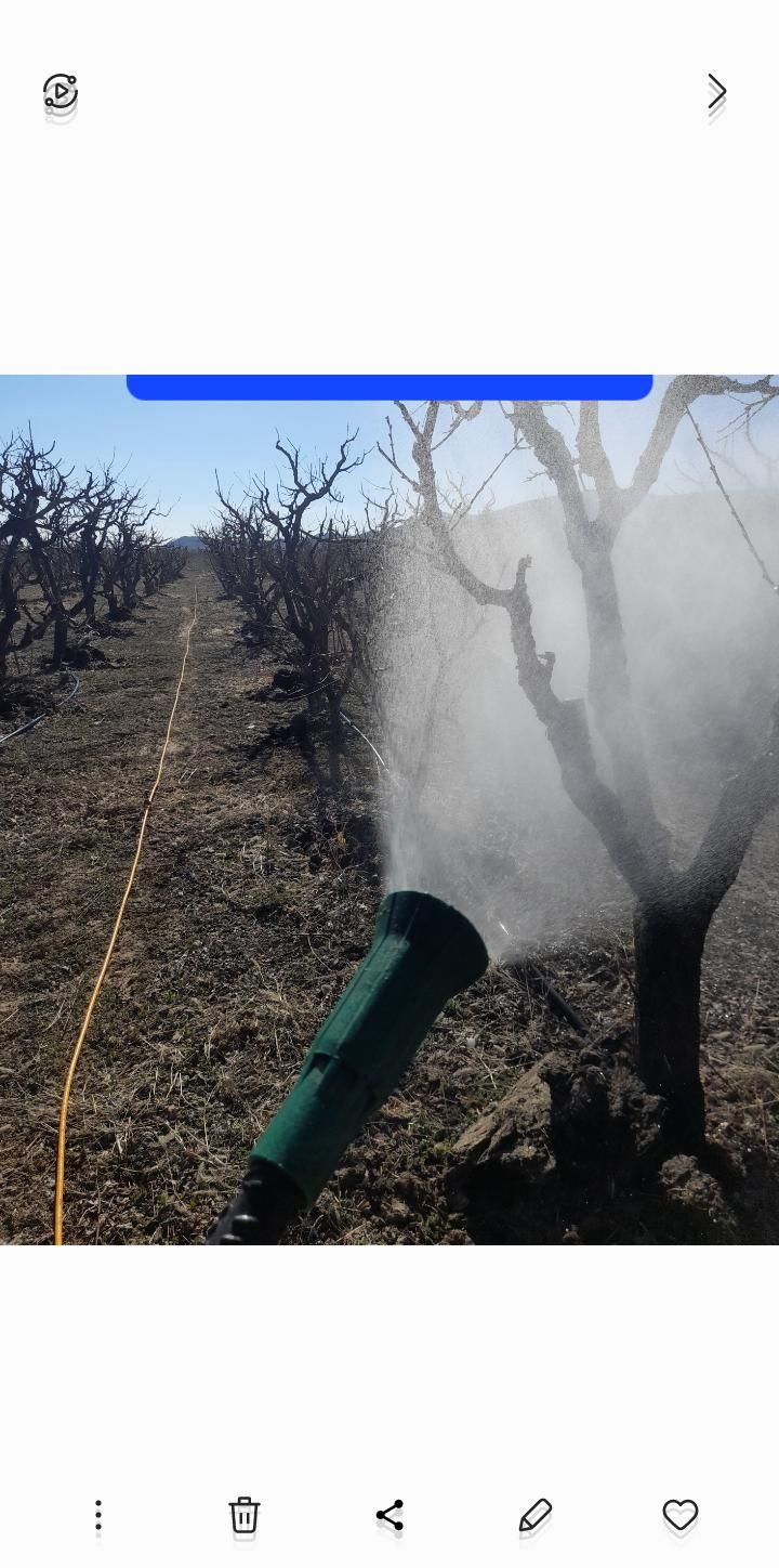 خدمات سمپاشی باغ و باغچه|خدمات باغبانی و درختکاری|ارومیه, |دیوار