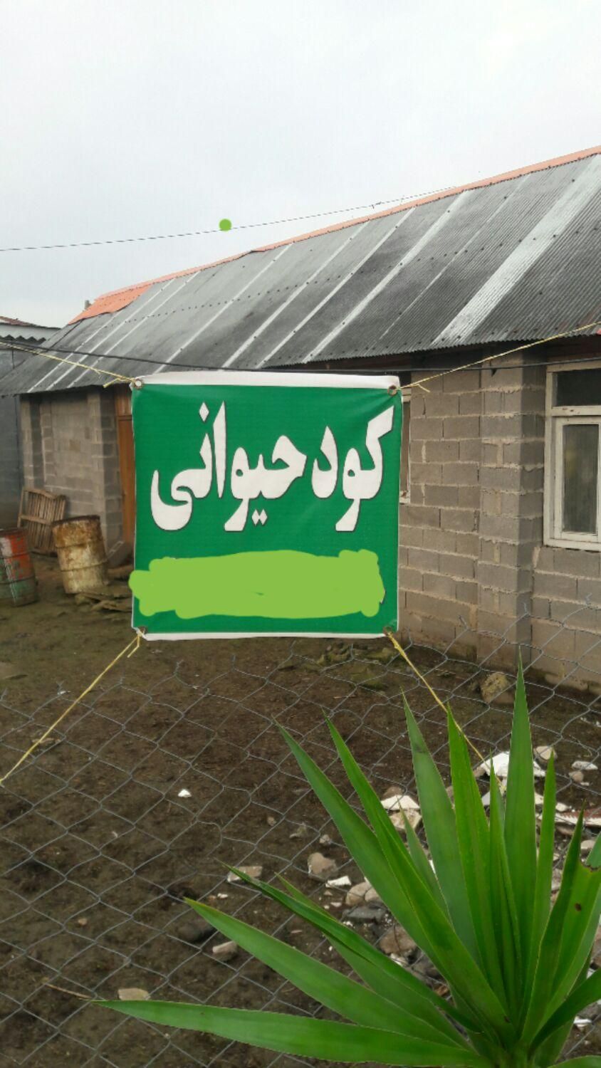 کود حیوانی دامی و مرغی تحویل در محل با نیسان|لوازم جانبی حیوانات|رشت, حومه رشت|دیوار