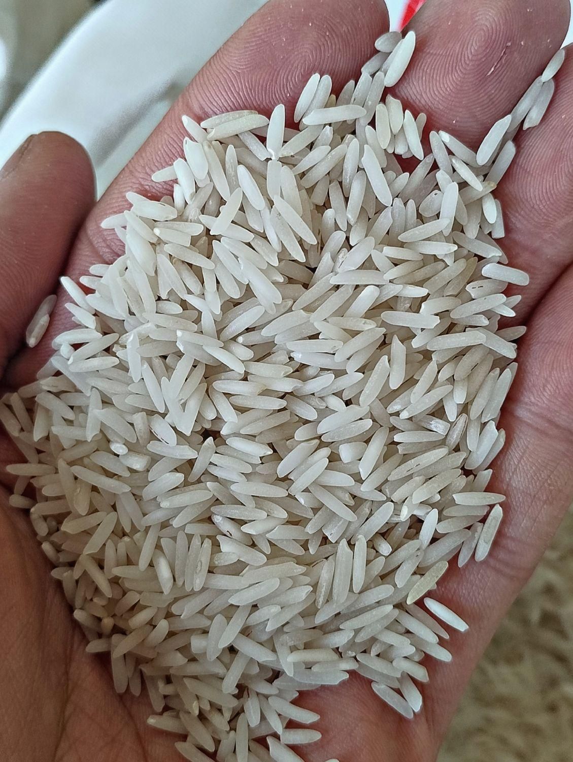 برنج طارم استخوانی عطری آستانه اشرفیه|خوردنی و آشامیدنی|تهران, فلاح|دیوار