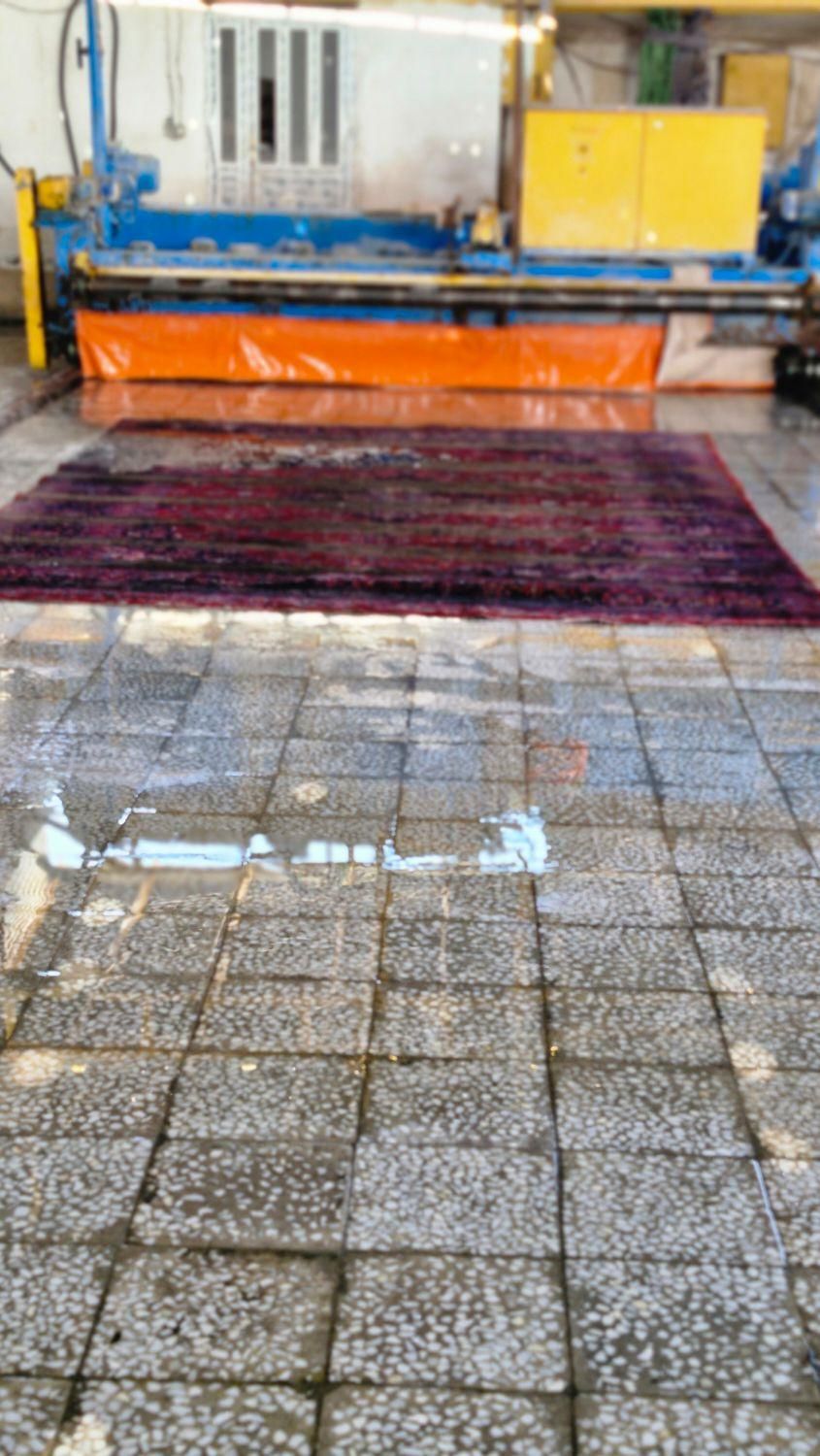 قالیشویی ومبل شویی پاکان قم|خدمات نظافت|قم, انسجام|دیوار