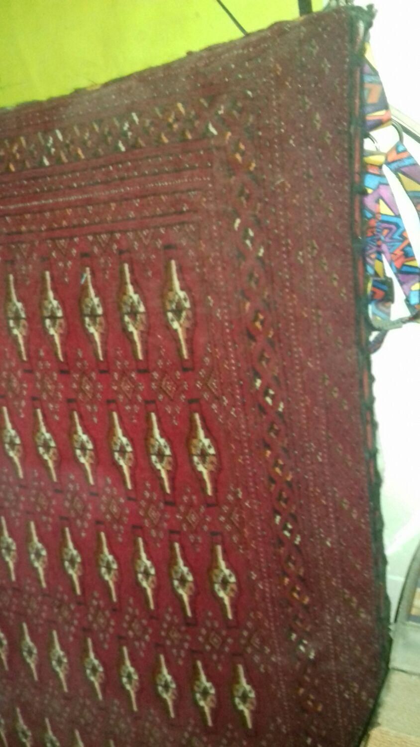 پشتی دستبافت جلگلان|پشتی|شیروان (خراسان), |دیوار