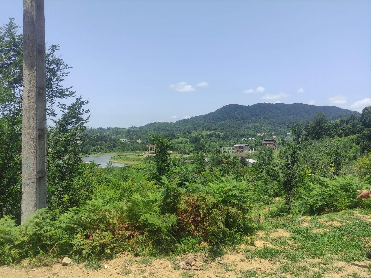 فروش فوری زمین ۷۴۵متری داخل طرح هادی، روستای چماچا|فروش زمین و ملک کلنگی|شفت, |دیوار