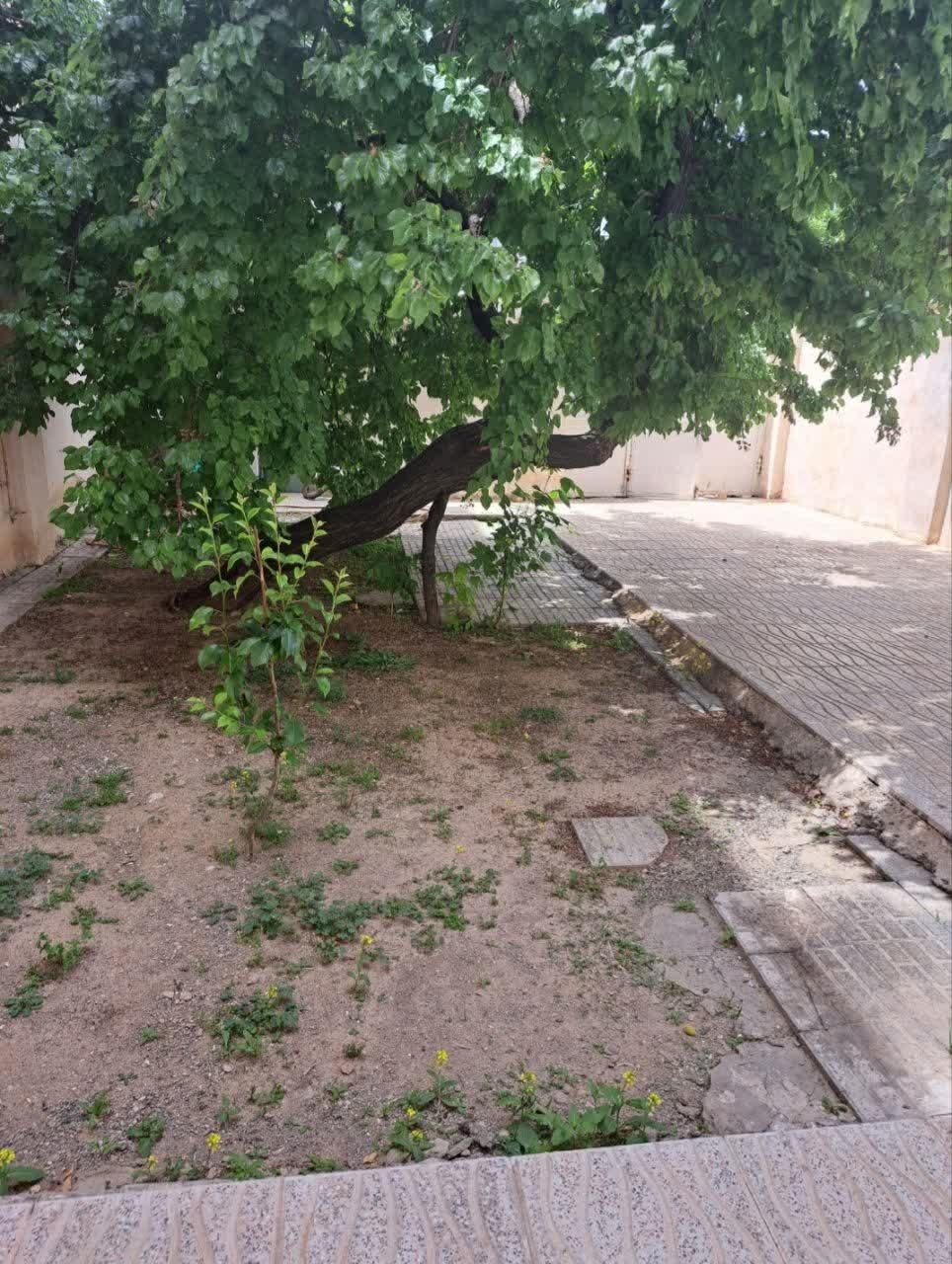 واحد یک‌خوابه‌ی فول امکانات، تمیز و شیک|اجارهٔ آپارتمان|شازند, |دیوار