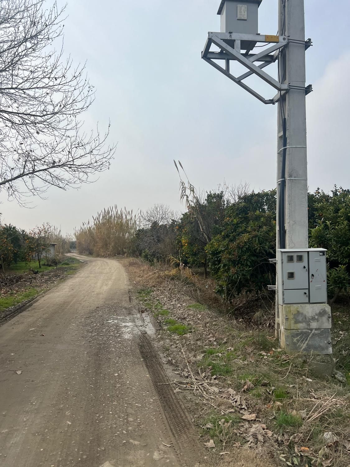 ۷ هزار متر باغ با کنتور برق و چاه با مجوز / آلونک|فروش زمین و ملک کلنگی|کیاکلا, |دیوار