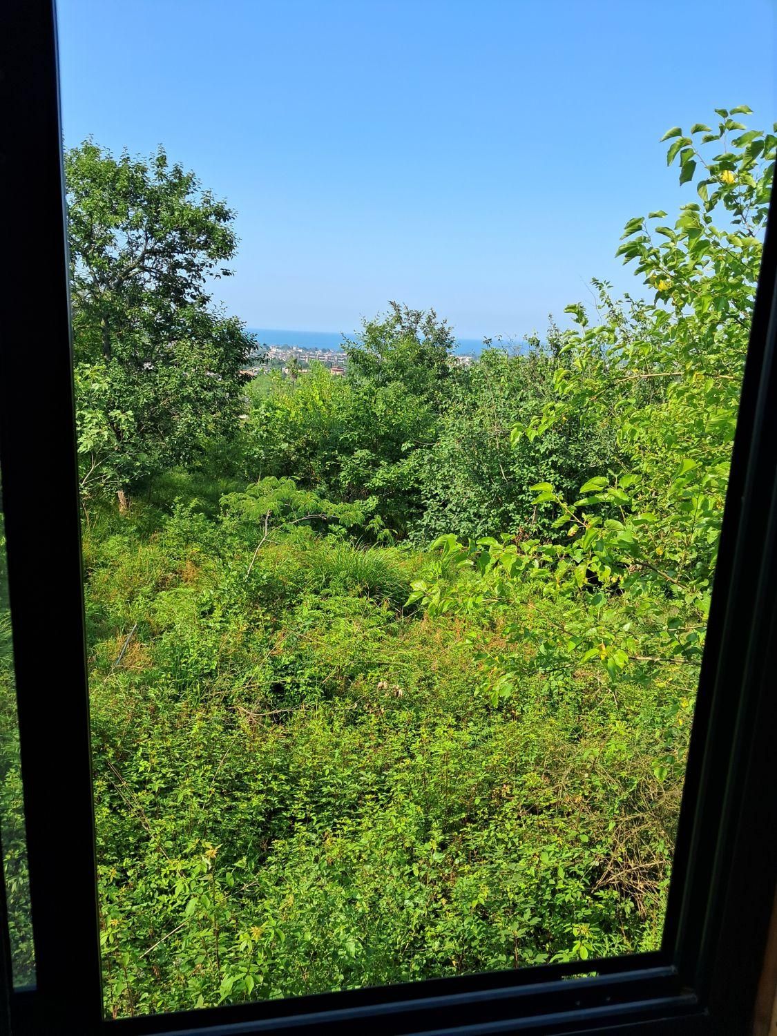 کلبه شریف|اجارهٔ کوتاه‌مدت ویلا و باغ|کتالم و سادات شهر, |دیوار