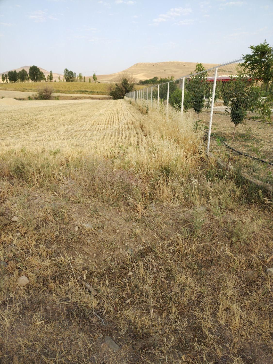 فروش زمین مناسب برای خانه باغ جاده کوچک وبغده کندی|فروش دفتر صنعتی، کشاورزی، تجاری|بوکان, |دیوار