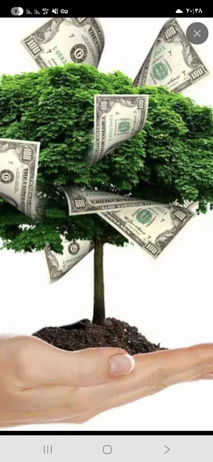 راهنمای 4برابرشدن سرمایه توکوتاه مدت میدم|فعالیت داوطلبانه|تهران, اقدسیه|دیوار