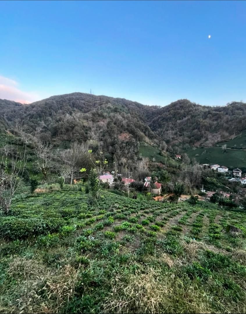 زمین ۱۰۰۰ متری با پروانه ساخت|فروش زمین و ملک کلنگی|لاهیجان, لیل|دیوار