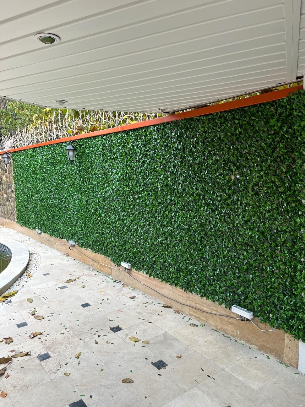 فنس چمنی و فنس برگی|خدمات باغبانی و درختکاری|کرج, گلدشت|دیوار