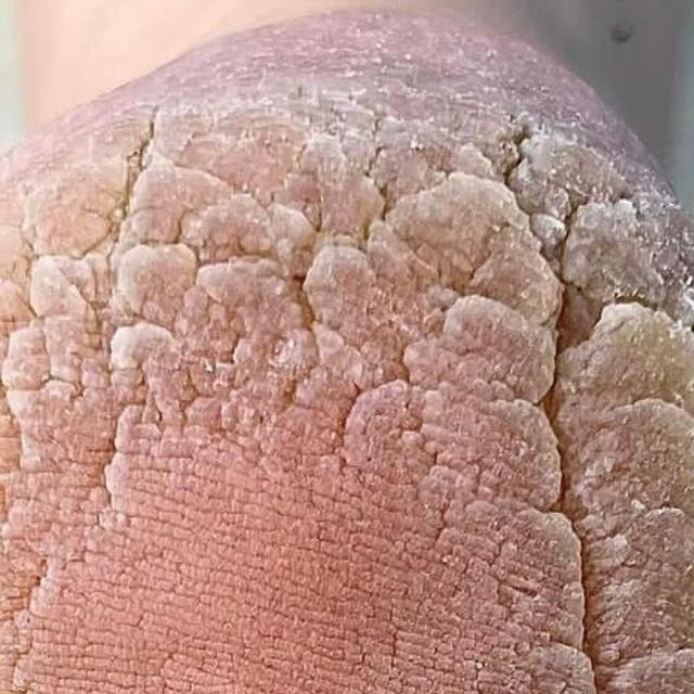 اموزش حرفه پدیکور خشک و خیس|خدمات آموزشی|یزد, |دیوار