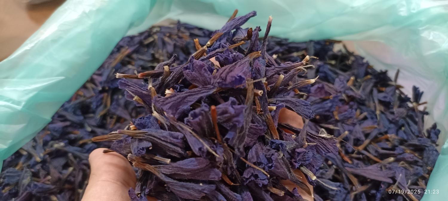 گل گاوزبان امساله الموت|خوردنی و آشامیدنی|تهران, دارآباد|دیوار