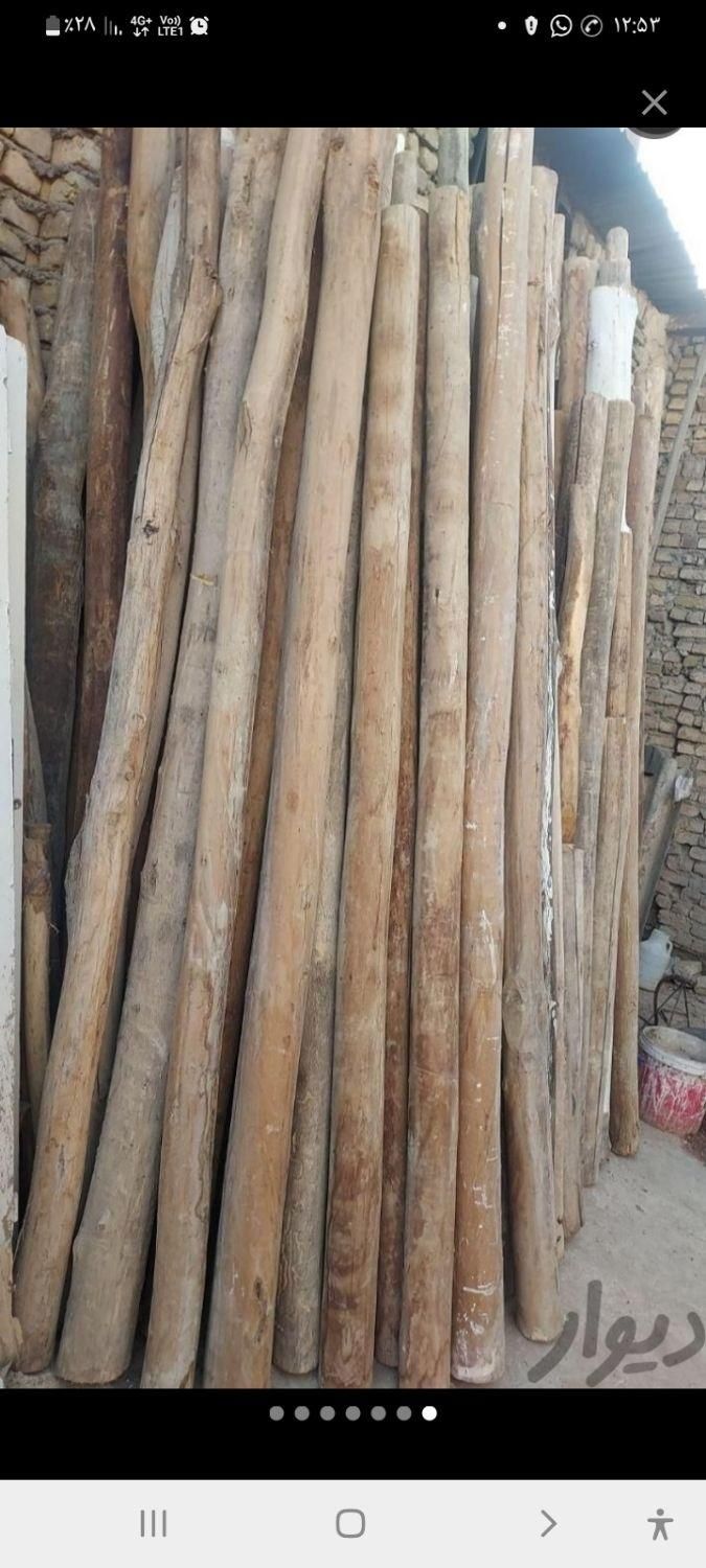 نردبان دسته بیل و پرچم و چوب آتشی چوب سفقی|عمدهفروشی|مشهد, خین عرب|دیوار