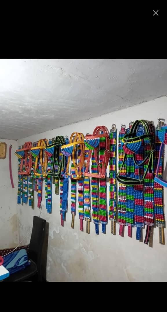 فروش پالان و لوازم اسب،قاطر و...|اسب و تجهیزات اسب‌سواری|ساری, |دیوار