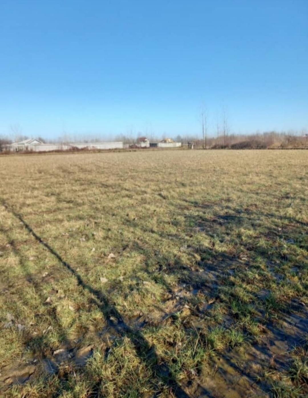 زمین باغی خارج طرح مناسب درختکاری|فروش دفتر صنعتی، کشاورزی، تجاری|صومعه‌سرا, |دیوار