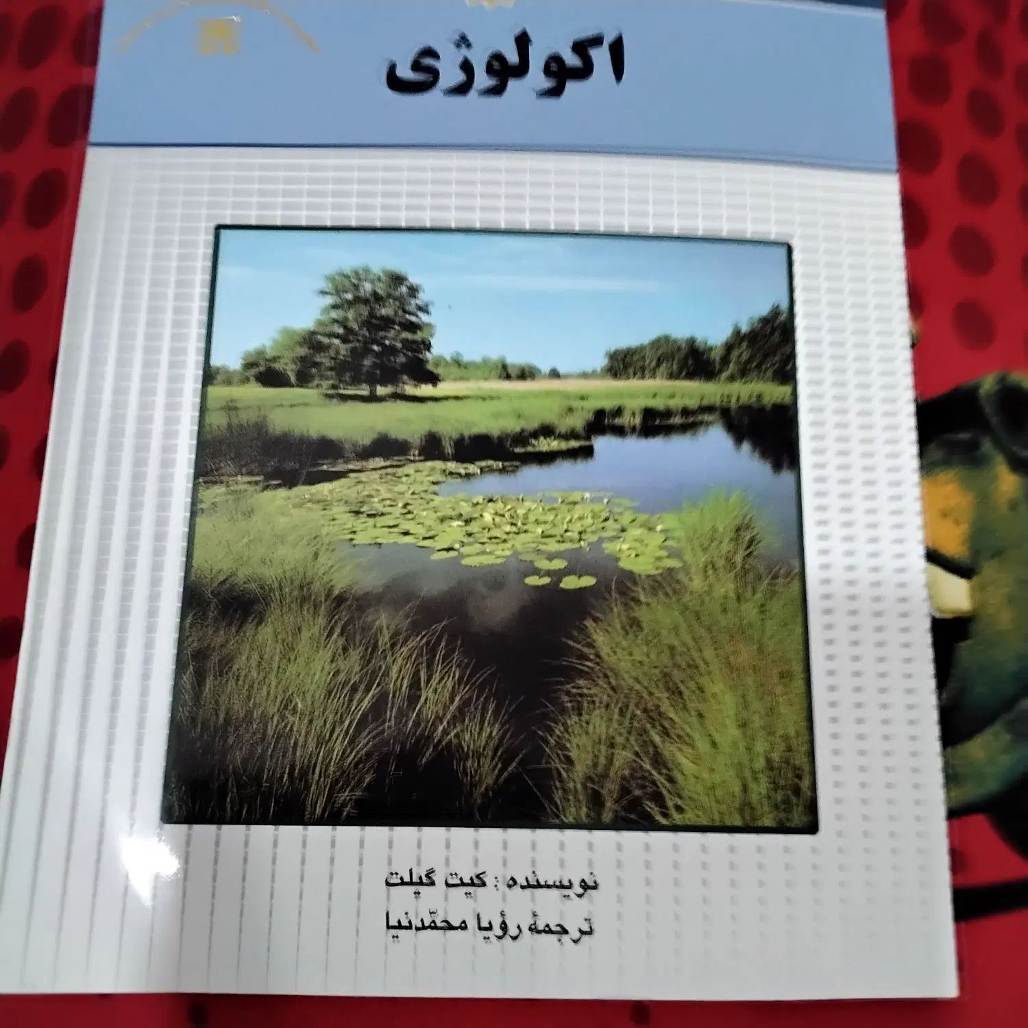 کتاب عروسک تیزبین|اسباب‌‌بازی|مشهد, جاهد شهر|دیوار